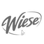 logowieseipsum