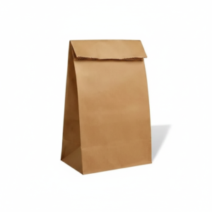 BOLSA DE PAPEL KRAFT LISA